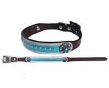 Fancy Dark Leather Dog Collar w/Bling! Crystal Rhinestones on Turquoise ... - $11.52+