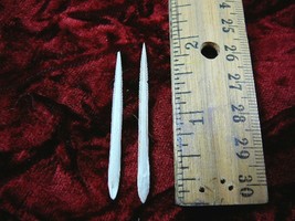 (f352-46) small 1-1/2&quot; Stingray Ray barbs modern Himantura chaophraya ba... - €12,25 EUR