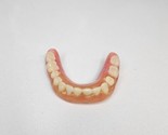 Vintage Dentures Full Upper Dental Collectible Oddity Creepy Weird Display - £23.84 GBP