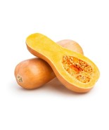 LKS Butternut Squash Seeds Organic Non Gmo Heirloom Vegetable Seeds 40 H... - $12.33