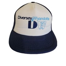 Diversey Wyandotte Snapback Trucker Hat Cap  Vintage Blue - £10.25 GBP