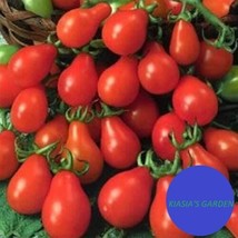 Red Pear Tomato Seeds 100 Garden Seeds Non Gmo - $7.99