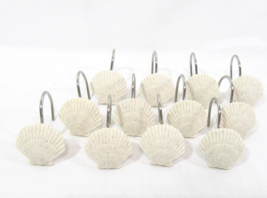 Seashells in Sandstone 12-PC Shower Curtain Hooks - £19.52 GBP