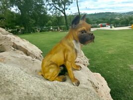 Bisque Brown Boxer Dog Sitting Lifelike Figurine Vintage Collectible Korea - $19.87