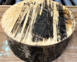 ONE THICK ROUND SPALTED MAPLE BOWL BLANK LATHE TURNING LUMBER WOOD 10&quot; X... - $59.35