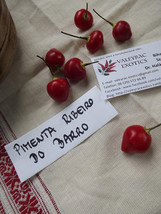 Pimenta Barro do Ribeiro Chili Pepper, 5 seeds (Ch 046) - £3.18 GBP