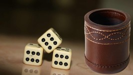 Yahtzee Dice Cup with 5 Dice Leather Professional Dice Shaker Dice Rolle... - $34.99