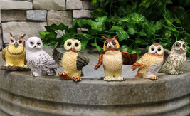 Owls of The World Colorful Nocturnal Birds In Multiple Poses Mini Figuri... - $35.99