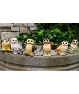 Owls of The World Colorful Nocturnal Birds In Multiple Poses Mini Figuri... - $49.01 CAD