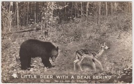 Little Deer With A Bear Behind Real Photo Postcard 1938 RPPC Unused - £2.34 GBP