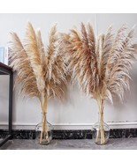46&quot; inch 10 Stems Pampas Grass Decor Tall Dried Plants Natural Dried Flo... - £57.52 GBP