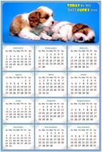 2022 Magnetic Calendar - Today is My Lucky Day - Dogs Themed 011 (8 x 5.25) - £7.81 GBP