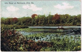 Postcard Lily Pond On Peninsula Erie Pennsylvania - £2.84 GBP