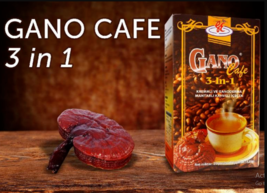 10 Boxes = (200 Sachets) Gano Excel Cafe 3 in 1 Coffee Ganoderma Reishi EXPRESS - £116.20 GBP