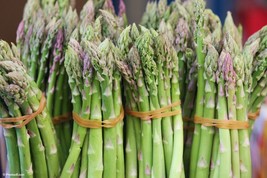 Asparagus seeds- code 027 - £3.90 GBP