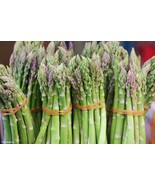 Asparagus seeds- code 027 - $91.84 MXN Asparagus seeds- code 027 - $91.84 MXN