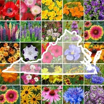 Wildflower VIRGINIA State Mix Perennials Annuals 25 Species 1000 Seeds - $9.39