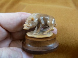(TB-WART-1) tan wild Warthog wart hog tagua nut figurine Bali detailed c... - $46.98