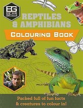 Bear Grylls Colouring Books: Reptiles by Bear Grylls [Paperback]New Book - £3.91 GBP