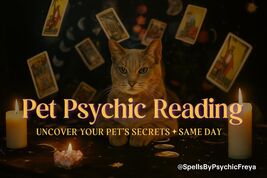 Pet Psychic Reading | Tarot Insight for Living Pets &amp; Same Day Guidance - $14.99