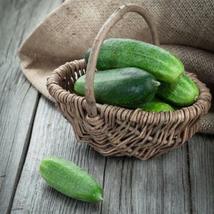 60 Seeds Spacemaster Cucumber | Non-GMO | Fresh Vegetable Garden Seeds - £10.95 GBP