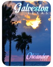 Galveston Texas The Oleander City Photo Fridge Magnet - $7.99