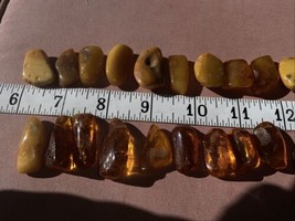 Real Natural Baltic Sea Amber Pieces Beads  for Pendant Jewelry Rough Wi... - $1,507.73 MXN