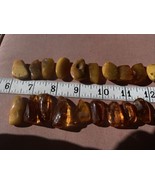 Real Natural Baltic Sea Amber Pieces Beads  for Pendant Jewelry Rough Wi... - $107.93 CAD