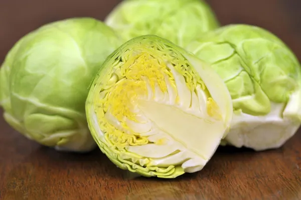 Brussel Sprouts Seeds 250+ Seeds Grow Your Own Food Long Island Brussel Sp Usa S - £12.72 GBP