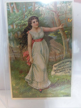 1890 Victorian Trade Card Halls Hair Renewer Ad Woman w Long Dark Hair Nashua NH - £19.74 GBP