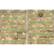 Spirit Animal Totem Chart: An Explanation of Some Spirit Animals! - $7.87