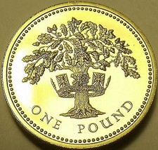 Gem Cameo Proof Great Britain 1987 Pound~Oak Tree~Edge Inscription - £11.51 GBP