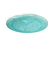 Greenbrier’s 14 Inches Summer Picnic Flat Round  Style Plastic Aqua Gree... - $14.73