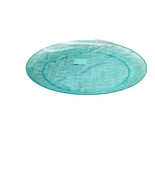 Greenbrier’s 14 Inches Summer Picnic Flat Round  Style Plastic Aqua Gree... - $277.08 MXN