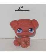 Hasbro LITTLEST PET SHOP DOG #39 Poodle Brown Blue eyes - $15.07