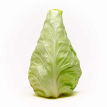 500 Conehead Cabbage Seeds Fresh Seeds USA - $9.96