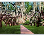 La Ronde Oaks Versailles Plantation New Orleans Louisiana UNP Linen Post... - $3.91
