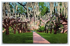 La Ronde Oaks Versailles Plantation New Orleans Louisiana UNP Linen Postcard Y6 - £3.05 GBP