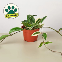 Item image 1 image 1