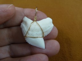 (S6-29) 1-3/8&quot; White TIGER SHARK Tooth gold wired pendant sharks necklace - £63.26 GBP