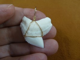 (S6-29) 1-3/8&quot; White TIGER SHARK Tooth gold wired pendant sharks necklace - £62.89 GBP