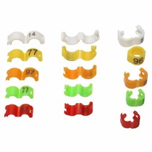 Vibrant Bird Foot Ring Assortment - Enhance Your Avian Collection! - £30.98 GBP