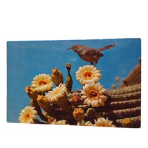 Postcard Cactus Wren And Saguaro Blossoms Arizona State Bird Chrome Unposted - £5.44 GBP