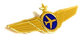 Airlines Pilot Wings Captains Gold Metal Airplane Pin - £9.99 GBP