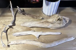 5 Large Driftwood - Branches - Reptile Decoration- Terrarium - Lizard Fr... - $29.70