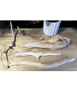 5 Large Driftwood - Branches - Reptile Decoration- Terrarium - Lizard Fr... - $565.47 MXN