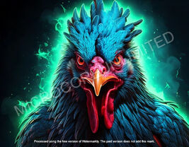 Item image 1 image 1