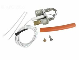 Raypak 002003F Pilot Kit Natural Or Propane Pool &amp; Spa Heaters SAME DAY ... - £34.01 GBP