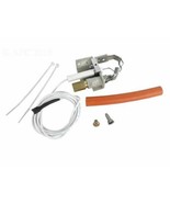 Raypak 002003F Pilot Kit Natural Or Propane Pool &amp; Spa Heaters SAME DAY ... - $42.67