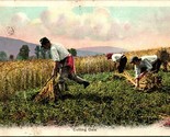 Vtg Postcard 1910s Field Workers Cutting Oats - $7.08